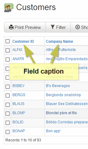 Field properties pane - caption