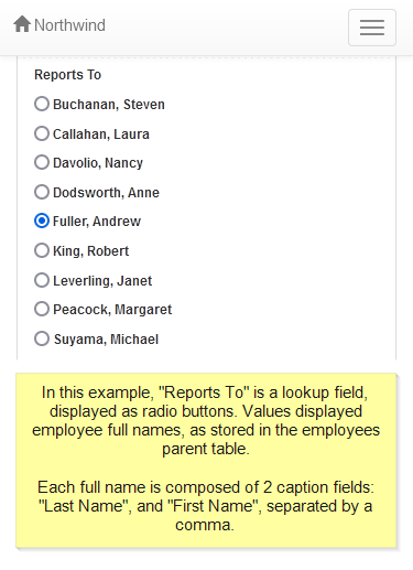 Lookup field > Parent caption field 1