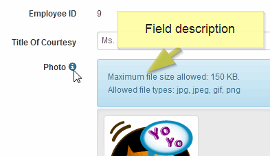 Field properties pane - description