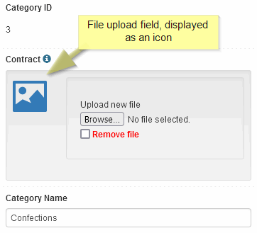 Media tab > File upload